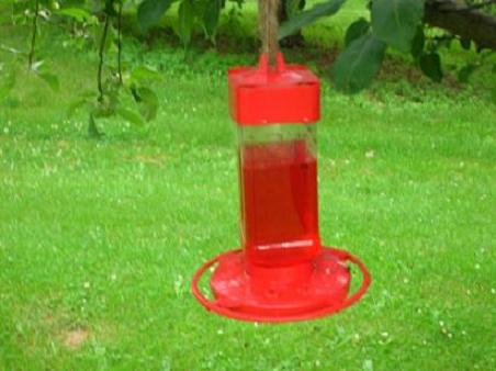 bird-feeder-for-humming-birds