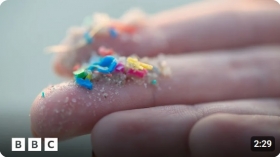 How to limit your exposure to microplastics