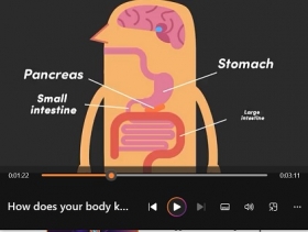 How does your body know youre full?