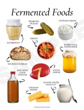 Fermented Foods