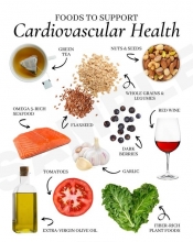 Cardiovascular Health