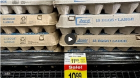 Are egg producers inflating prices during the bird flu outbreak to boost profits?