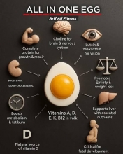 ALL IN ONE EGG